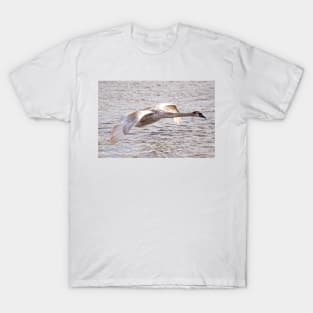 Cygnet in Flight T-Shirt